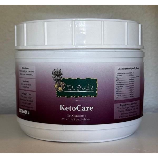 Dr. Paul's Lab - KetoCare Bolus-Doc Tom Roskos