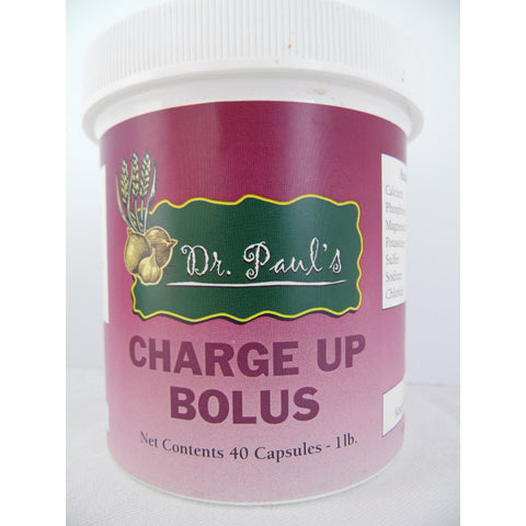 Dr. Paul's Lab - Charge-Up Calf Bolus - 40ct-Doc Tom Roskos